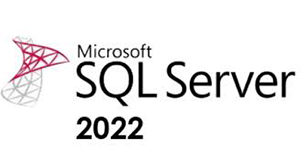 SQLServer2022