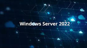 WindowsServer2022